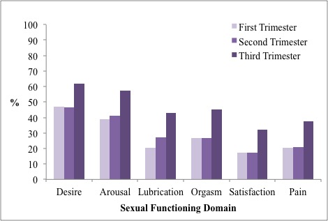Percent of pregnant women meeting cut-off scores for six domains of sexual dysfunction (adapted from Table 4 of Galazka et al., 2014)